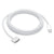 Apple Cavo da USB-C a MagSafe3 - 2m - Argento