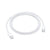 Apple Cavo di Ricarica USB-C - 1m