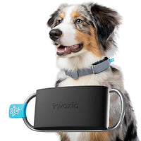Invoxia Mini Tailz Heart Monitor LWT6 + 1 Year Subscription